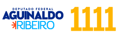 Aguinaldo Ribeiro