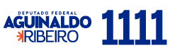 Aguinaldo Ribeiro